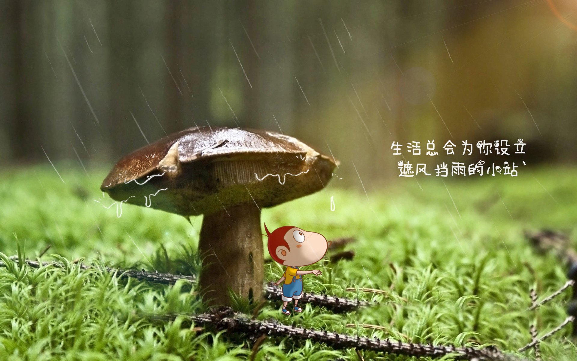 免费青少年足球培训项目多地启动，普及率不断提高，青少年足球培训 国家补贴