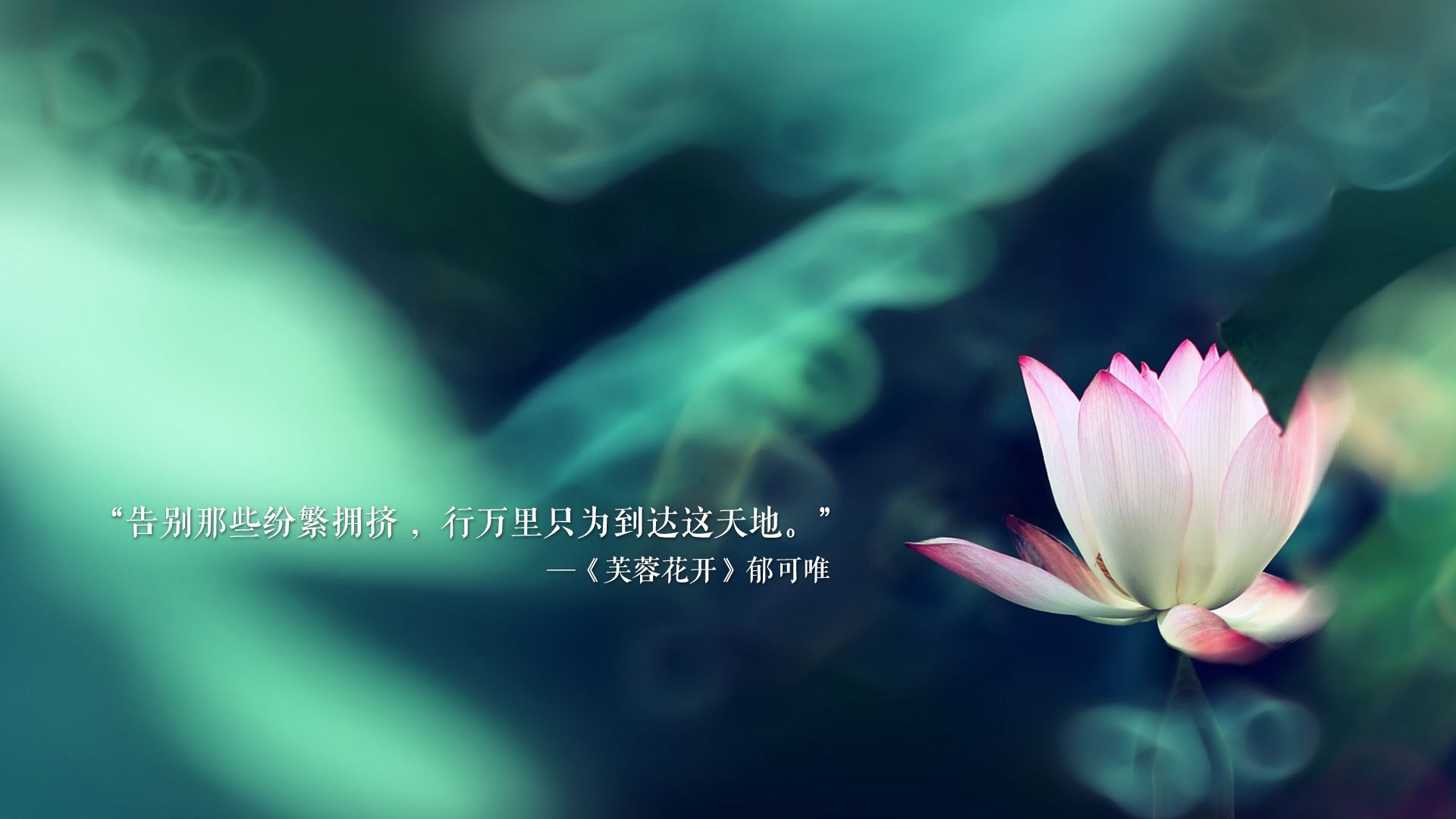 冰上速滑赛，速度与激情的极致表现，冰上速滑基本功
