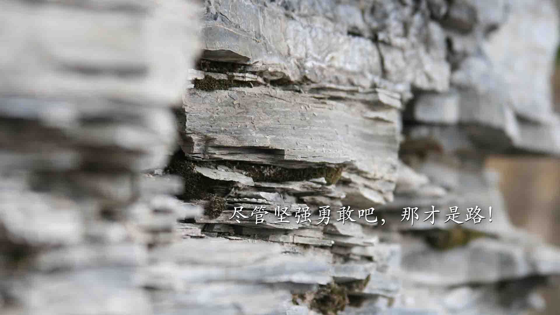 利物浦锋线集火，展现超强得分能力，利物浦分析