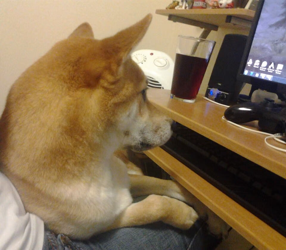 意甲比赛中，表现抢眼的球员频繁制造奇迹，意甲介绍