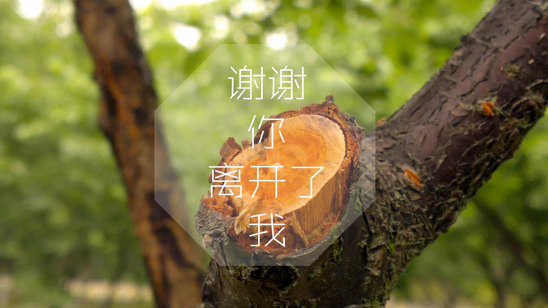 民众关注中国篮球职业化发展趋势，我国篮球职业化的过程