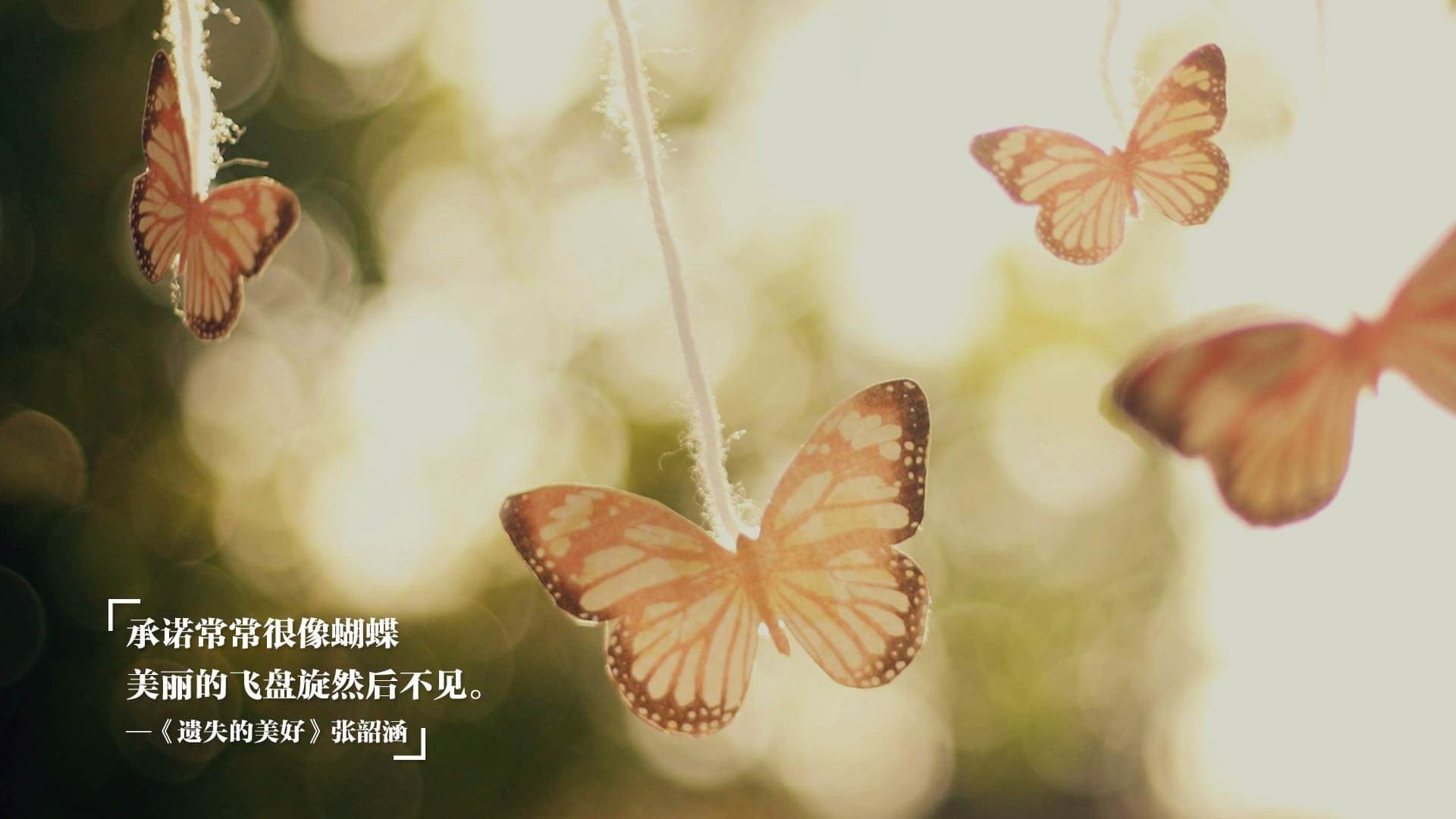 篮球公益项目助力贫困地区青少年成长，篮球公益活动方案