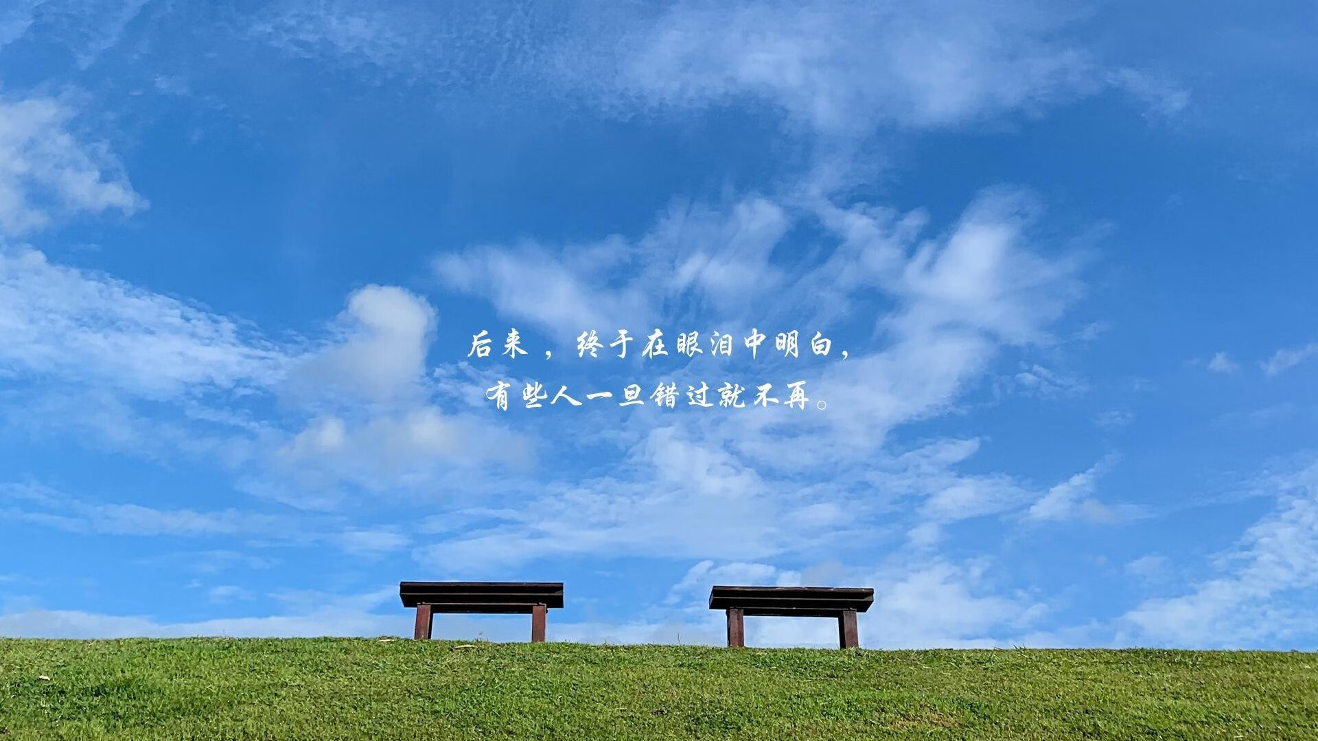 赛场与城市景观的完美融合，赛场与城市景观的完美融合的句子