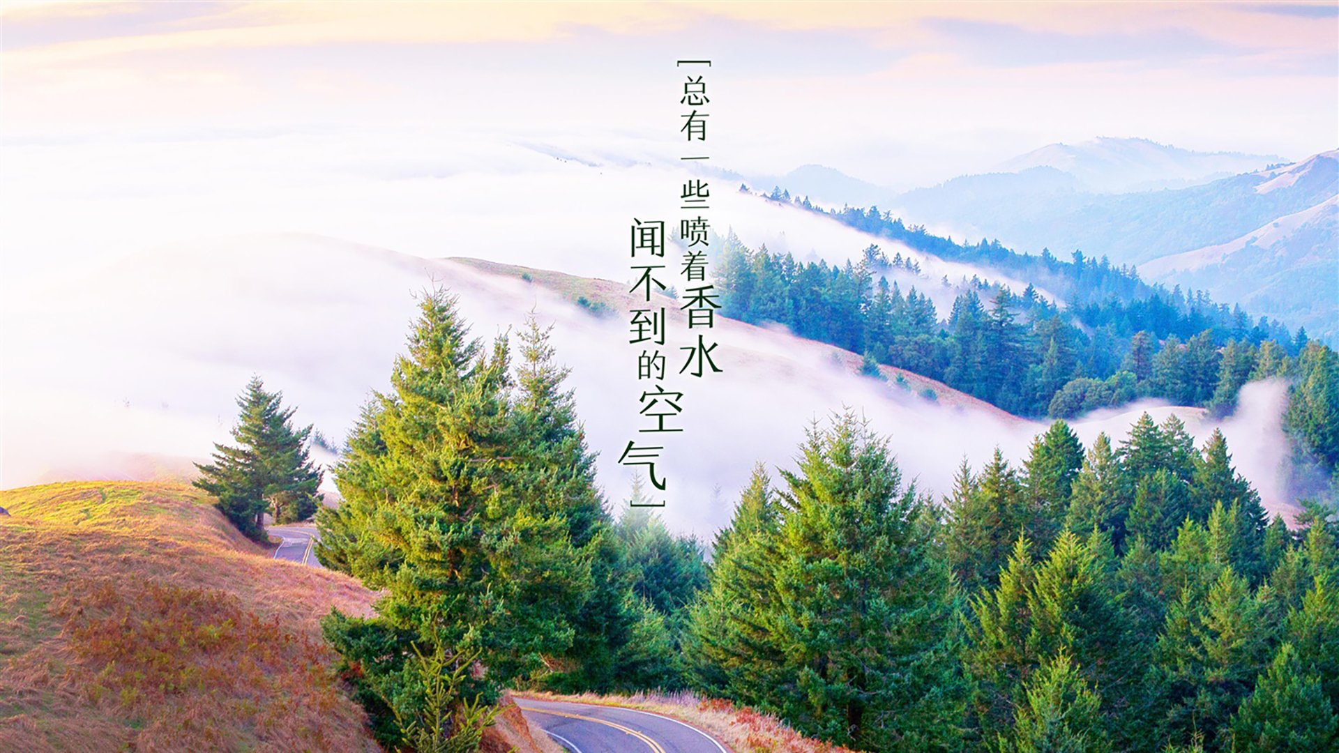 青少年篮球“未来之星”全国系列赛全面启动，未来星篮球培训
