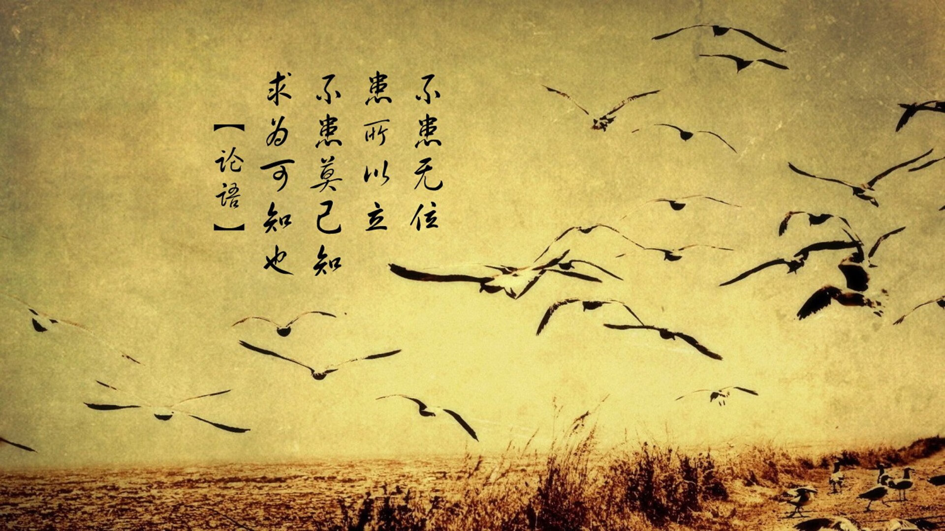 意大利女足队团结一心，收获胜利，意大利女足世界排名