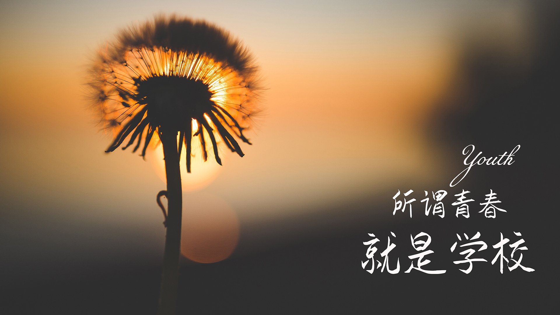 “埃尔斯·霍斯特全场最佳，南非羚羊队迎接世界杯”