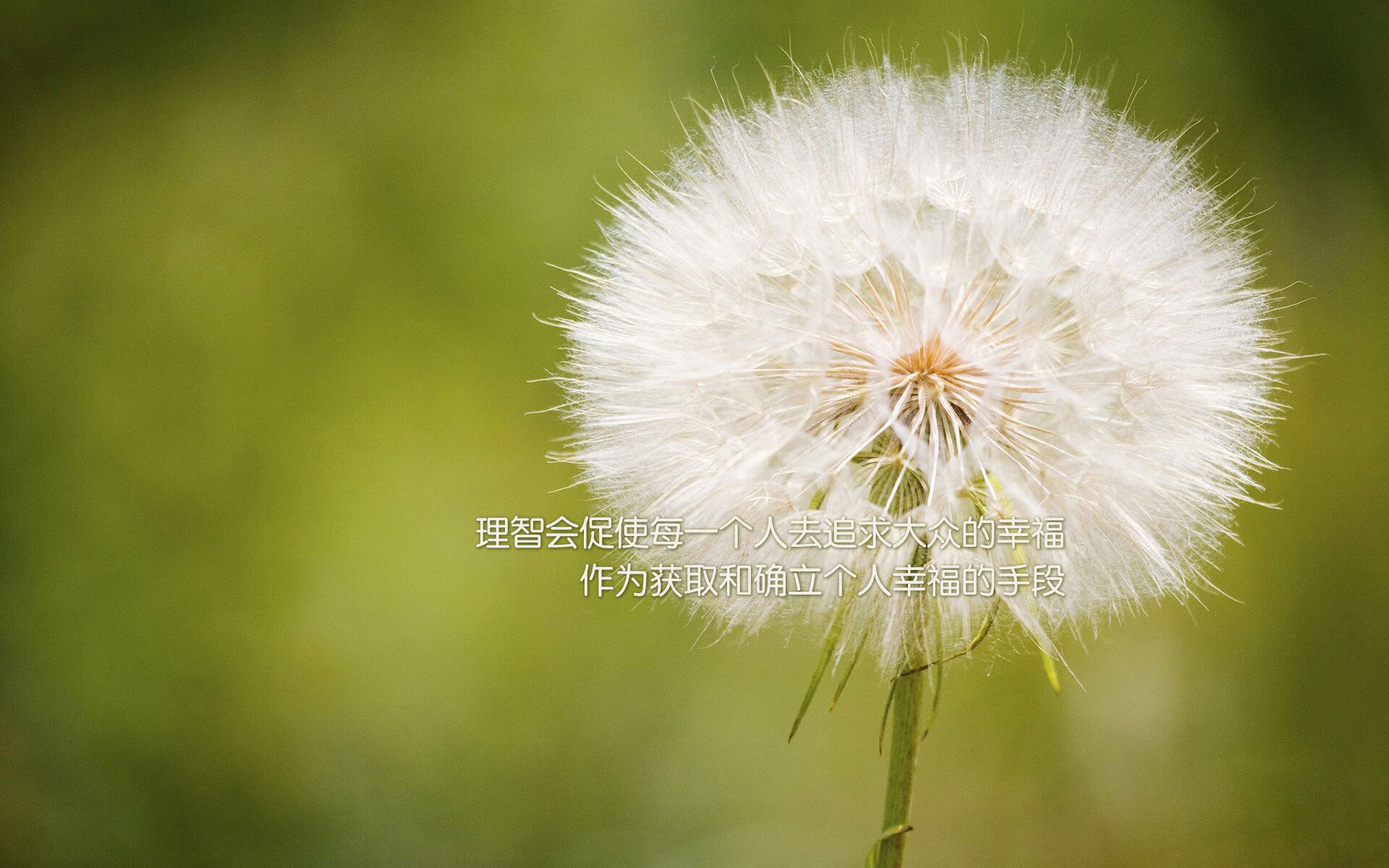 曼联中场组织能力被对手教练盛赞，曼联效力过的中场