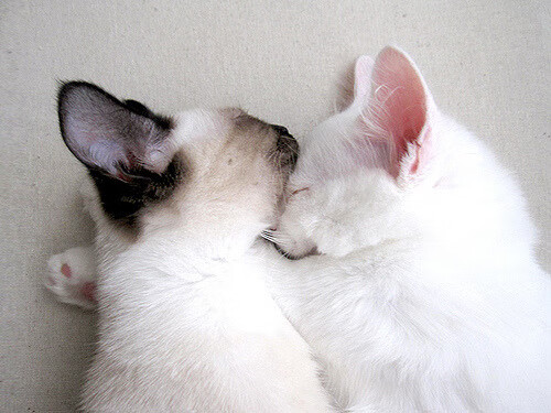 爱游戏官方网站-中国男篮精准控场打造稳定比赛节奏，中国男篮现役控卫排名