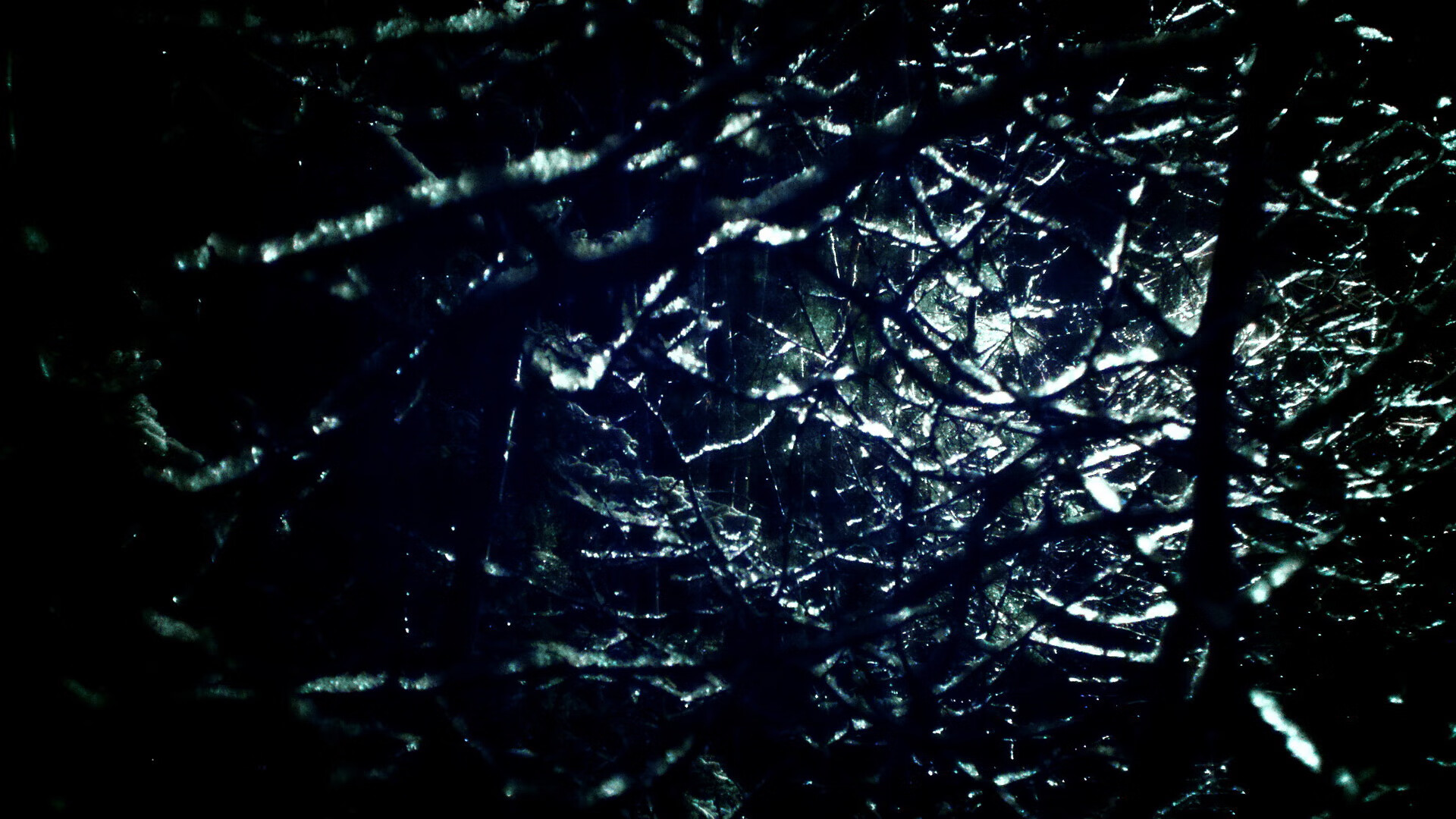 加拿大女子接力队表现日益成熟,加拿大女子接力队表现日益成熟的原因是